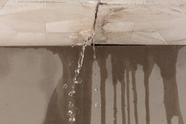 Professional Sewage Cleanup technician working in Trenton, TX
